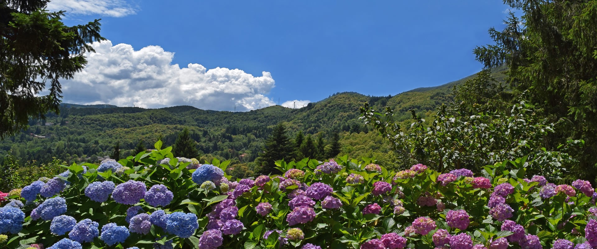 Una Vacanza nella Natura