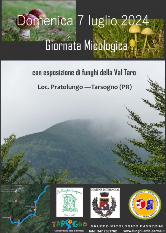Giornata Micologica - Pratolungo